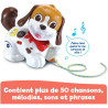 Toutou 1,2,3 Promène-moi VTECH - Dès 12 mois