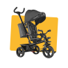 Tricycle pour bébé évolutif 2en1 – LIONELO - LIO-LO-HAARI STONE GREY