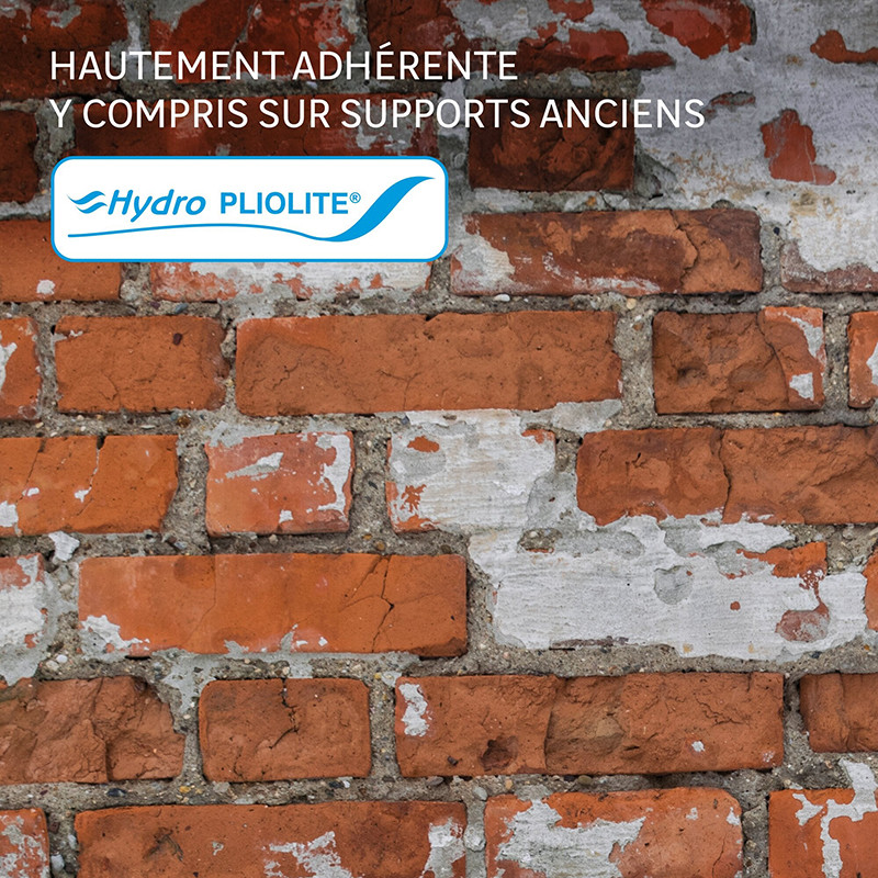 PEINT FAC UNIV LUXENS 12L BLC