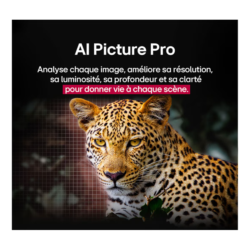 Nouveau produit 34404700