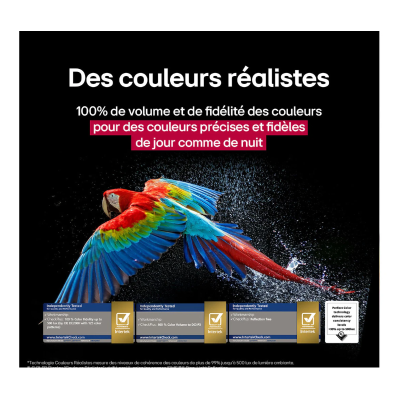 Nouveau produit 34404701