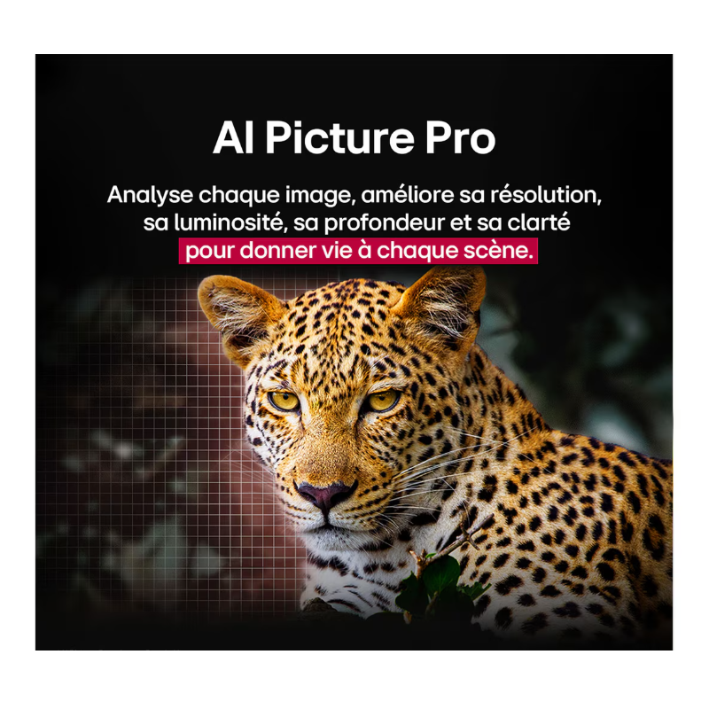 Nouveau produit 34404701