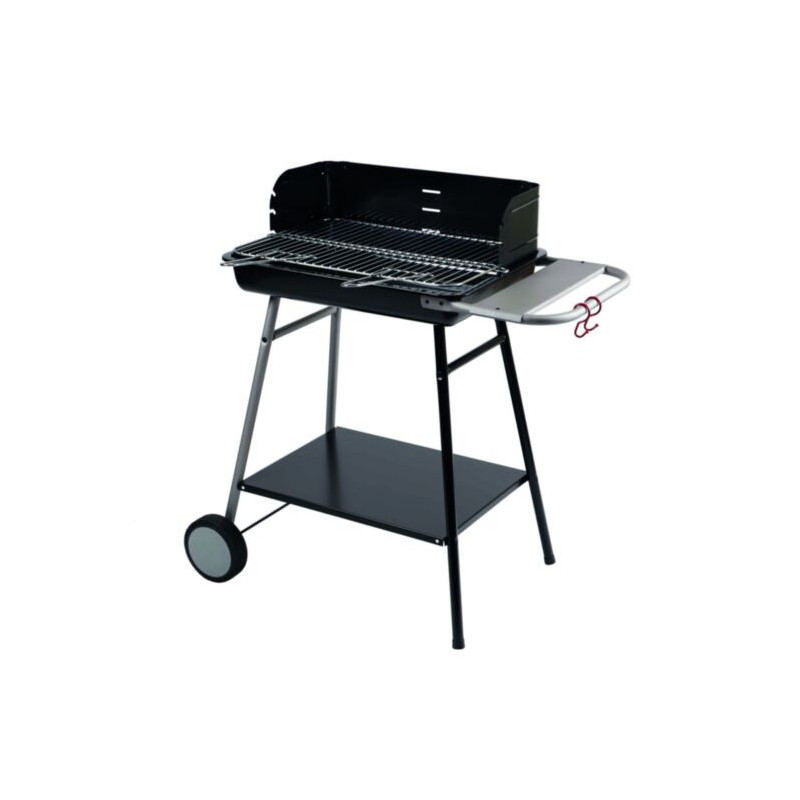 BARBECUE CHARBON TORINO 56X41
