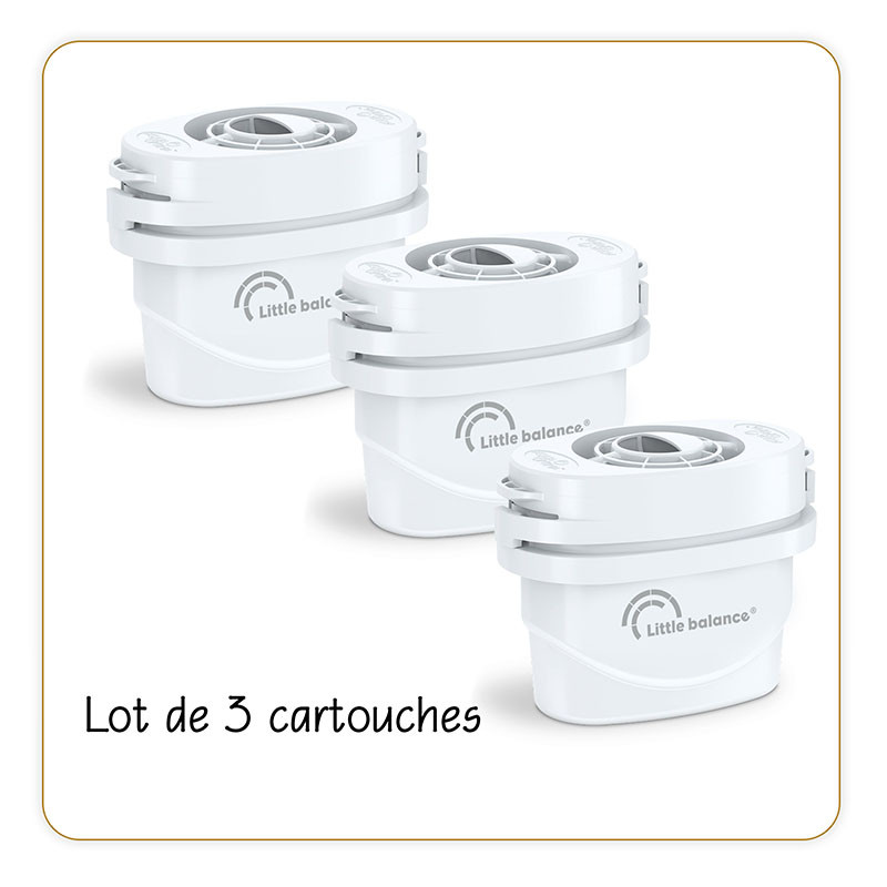 Lot de 3 cartouches filtrantes - LITTLE BALANCE - LB8588
