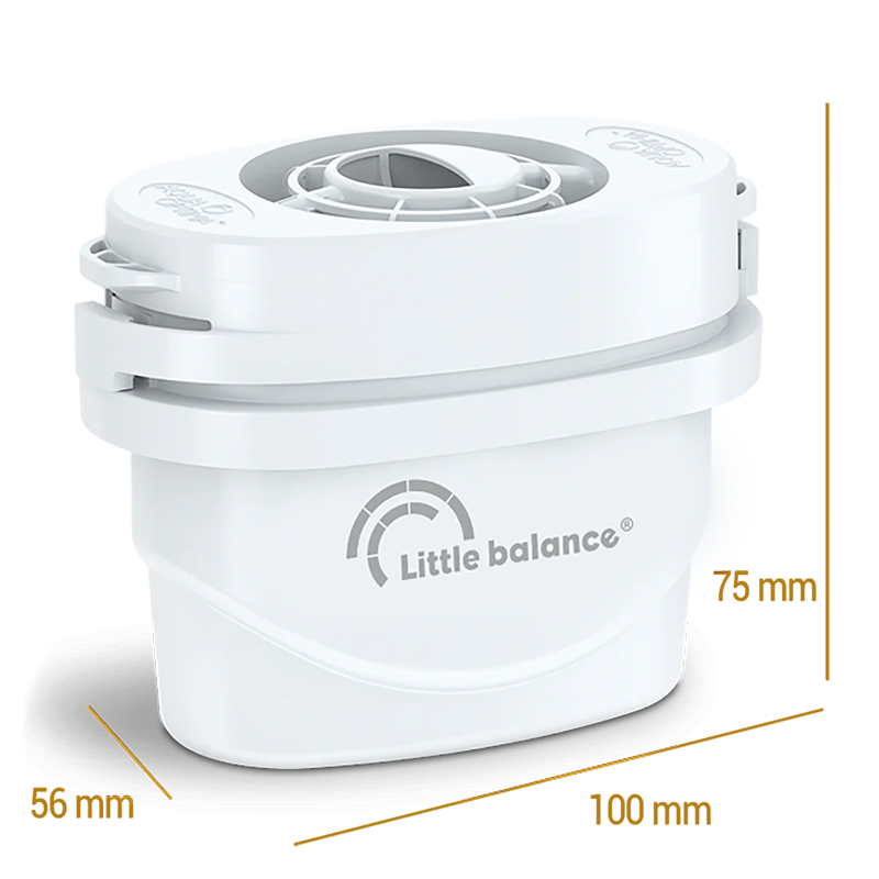 Lot de 3 cartouches filtrantes - LITTLE BALANCE - LB8588