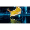 Jeux Switch Légendes Pokémon Z-A - NINTENDO