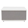 Table basse avec coffre Neptune en aluminium Gris/Blanc - NATERIAL - 86545468