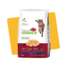 Croquette au poulet pour chat adulte poulet 3kg - NATURAL TRAINER - NNFAC634