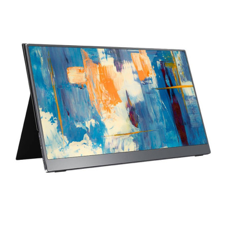 Moniteur portable 15,6" FHD IPS 100% sRGB USB-C & Mini HDMI - ARZOPA - MT_ARZ_A1T15