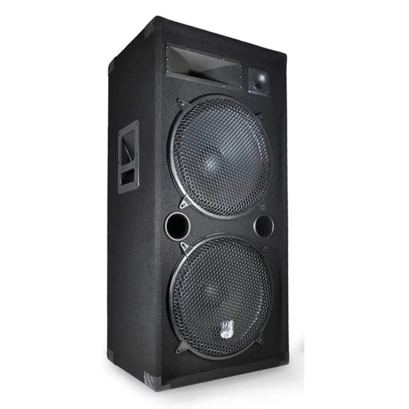 Enceinte Passive Sono PA 15/38cm 1000W - BM SONIC - LSC215