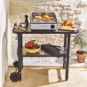 Plancha Pro 35 électrique 1750W inox - LAGRANGE - 219201