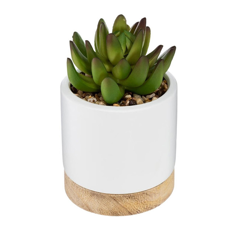 Succulente artificielle Ery en pot céramique et bois H12 cm - ATMOSPHERA