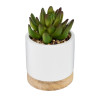 Succulente artificielle Ery en pot céramique et bois H12 cm - ATMOSPHERA