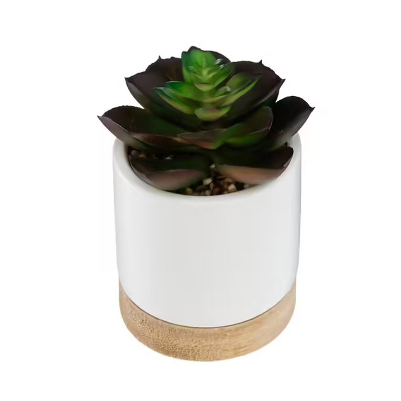 Succulente artificielle Ery en pot céramique et bois H12 cm - ATMOSPHERA