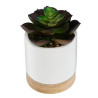 Succulente artificielle Ery en pot céramique et bois H12 cm - ATMOSPHERA