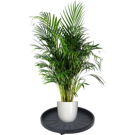 Chariot pour pot de fleurs rond D35 cm Gris foncé - PROGARDEN