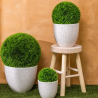 Set de 3 pots Vena en céramique émaillée D30cm Assortis - ATMOSPHERA
