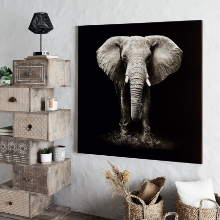 Toile imprimée Éléphant 100x100cm Noir/Blanc - ATMOSPHERA