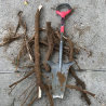 Bêche de jardinage multifonction Root Slayer Rouge/Gris - VENTEO - 3700421911974