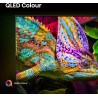 TV - QLED - HISENSE - 215 cm - 4K - 144Hz - Smart TV - 85E7QPRO