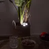 Projecteur extérieur solaire Mouvement 13cm Noir - JE CHERCHE UNE IDEE
