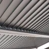 Pergola autoportante Evonis 4x3 m Gris - HESPERIDE