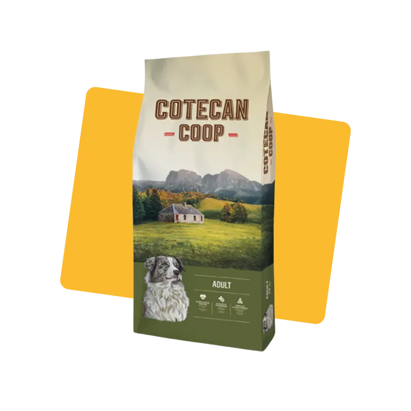 Croquettes chien adulte 20kg - COTECAN