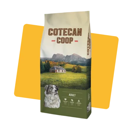 Croquettes chien adulte 20kg - COTECAN