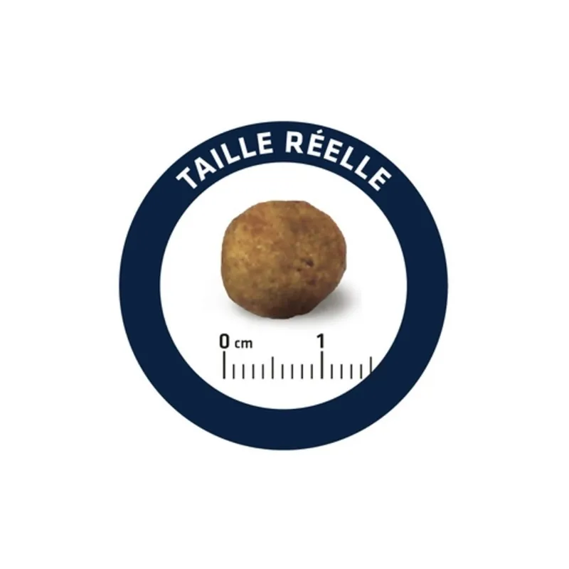Croquettes pour chien Articular Care Reduced Calories 12 kg - ADVANCE