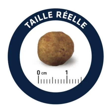 Croquettes pour chien Articular Care Reduced Calories 12 kg - ADVANCE
