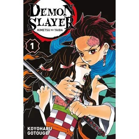 Demon slayer Tome 1
