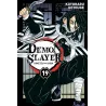 Demon slayer Tome 19 - Koyoharu Gotôge - Panini - Poche - ravate.com librairie reunion