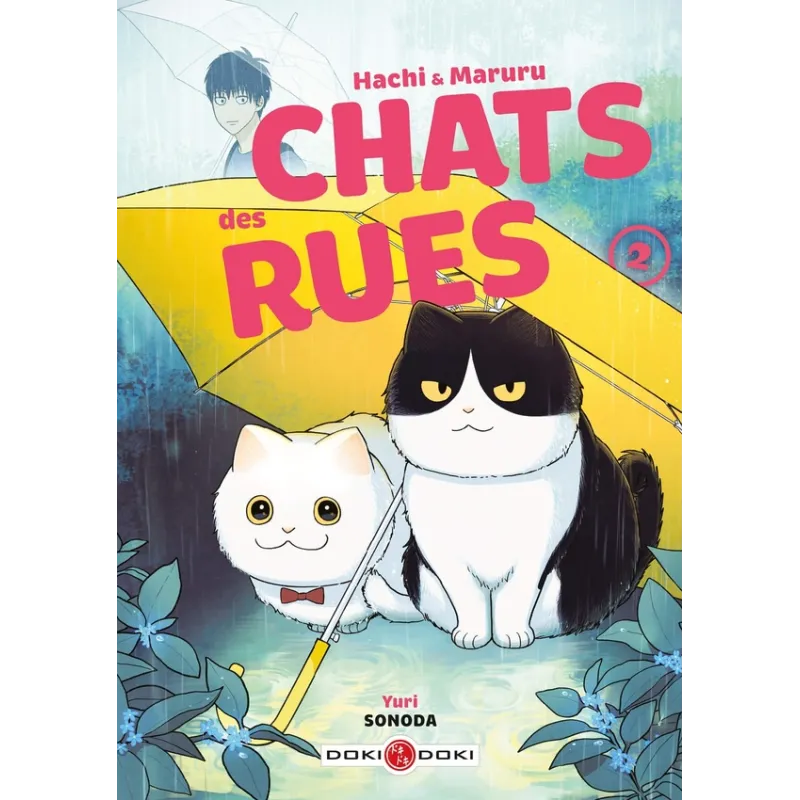 Hachi & Maruru : chats des rues Tome 2 - Yuri Sonoda - Bamboo - Poche - ravate.com librairie reunion