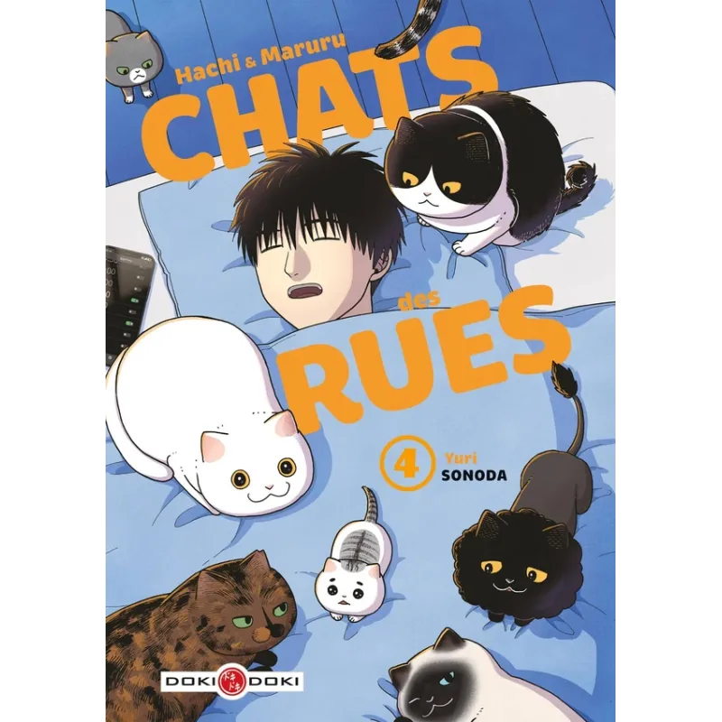 Hachi & Maruru : chats des rues Tome 4 - Yuri Sonoda - Bamboo - Poche - ravate.com librairie reunion