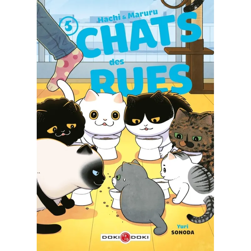 Hachi & Maruru : chats des rues Tome 5 - Yuri Sonoda - Bamboo - Poche - ravate.com librairie reunion