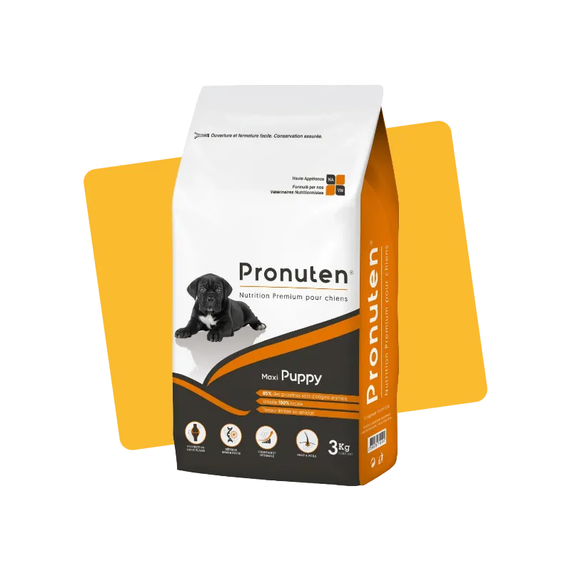 Croquettes chiot grande taille poulet 3kg - PRONUTEN - PROMXP03
