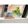 Réveil et station météo bois clair - THOMSON - REVCT600BB