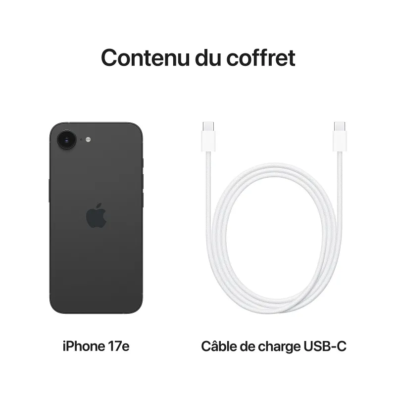 iPhone 17E 256Go noir - APPLE - MHRV4QN/A