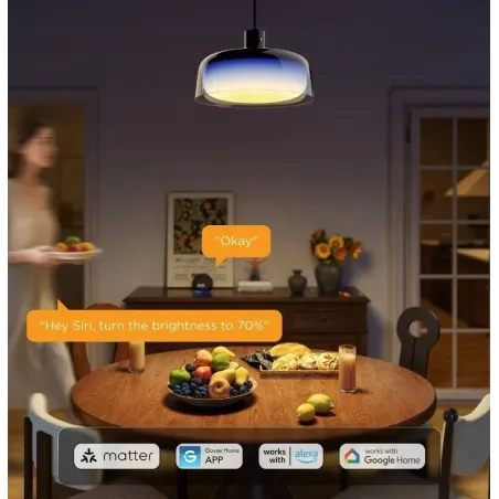 Lampe suspendue connectée - GOVEE - 83209000063