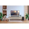Barre de son Cinema SB595 3.1.2 avec caisson de basses sans fil 440W Noir - JBL - JBLSB595BLKEP