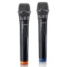 Set de 2 microphones sans fil avec récepteur 6,3 mm Noir - LENCO - MCW020BK