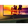 TV QLED - PHILIPS - 126cm - 4K - 60HZ - Smart TV - Ambilight - 50PUS8550/12
