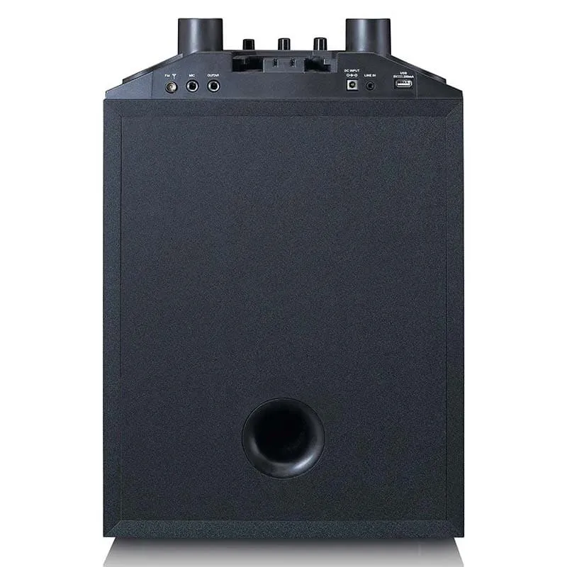 Enceinte bluetooth 100W avec 2 microphones sans fil Noir - LENCO - PA220BK