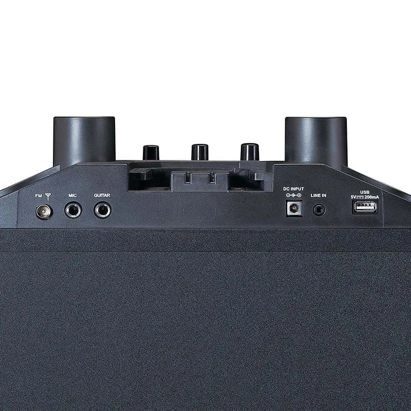 Enceinte bluetooth 100W avec 2 microphones sans fil Noir - LENCO - PA220BK