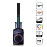 Enceinte bluetooth 100W avec 2 microphones sans fil Noir - LENCO - PA220BK