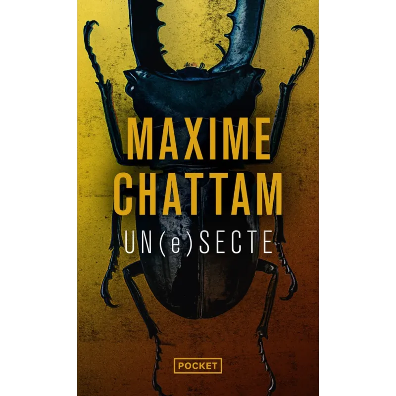 Un(e) secte - Maxime Chattam - Pocket - Poche - ravate.com librairie reunion