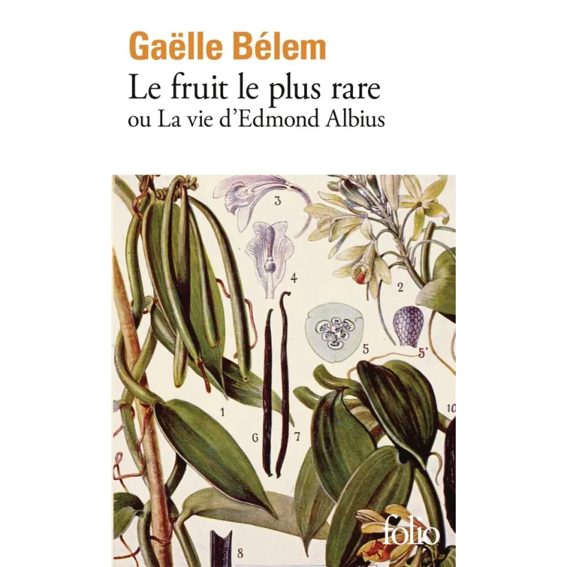 Le fruit le plus rare ou la vie d - ravate.com librairie reunion