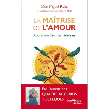 La maîtrise de l'amour : apprendre l'art des relations