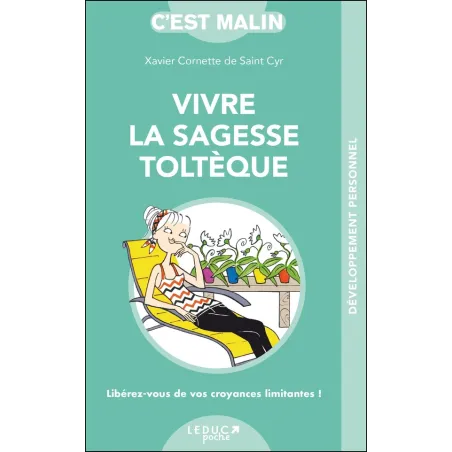 C'est malin poche : vovre la sagesse toltèque au travail, en famille, avec ses amis