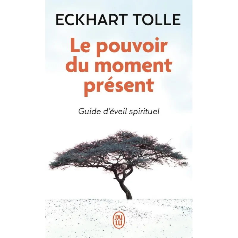 Le pouvoir du moment présent : Guide d - ravate.com librairie reunion